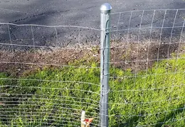 Fence 20170302 145816