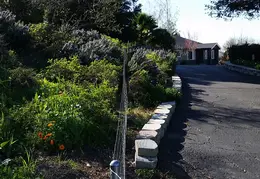 Fence 20170302 145829