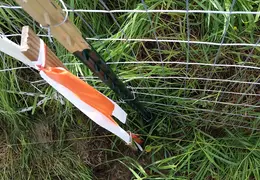 Fence 20170303 105439