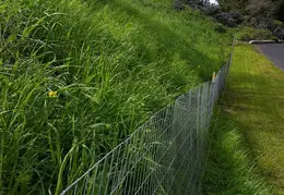 Fence 20170303 105533