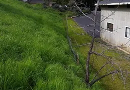 Fence 20170303 110012