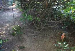 Murphys CR In Bushes Ridge Dr 1