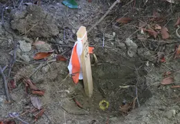 Murphys CR In Bushes Ridge Dr 2