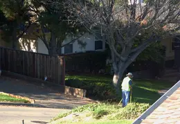 Surveying Property 20161112 2