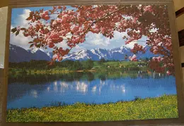 Puzzles 200800216 03