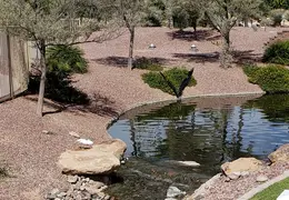 The Paseo Consolidated Canal 20211004 05