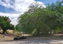 The Paseo Consolidated Canal 20211004 14