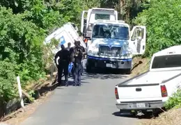 USPS Truck Ridge Park Lane 03