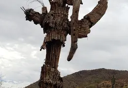 Walk Around The Neighborhood 20230923 03