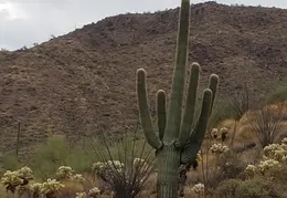 Walk Around The Neighborhood 20230923 04