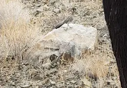 Walk Around The Neighborhood 20230923 05