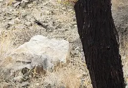 Walk Around The Neighborhood 20230923 06