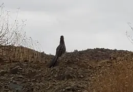 Walk Around The Neighborhood 20230923 07