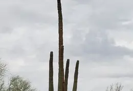 Walk Around The Neighborhood 20230923 08