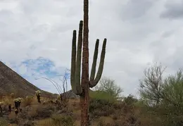 Walk Around The Neighborhood 20230923 09