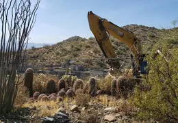 Walk to Grey Owl Trl 20230604 15