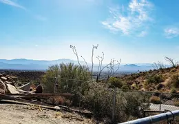 Walk to Grey Owl Trl 20230604 18