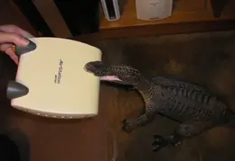 Wireless Router 0006