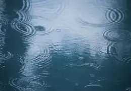 Rainfall 2