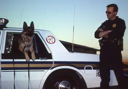 CPD Scanned Pictures