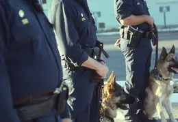 CPD Scanned Slide 0061