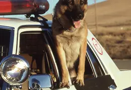 CPD Scanned Slide 0064