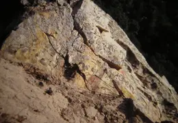 A Day in the Life of Mt Diablo 011