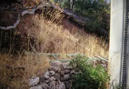 A Day in the Life of Mt Diablo 014