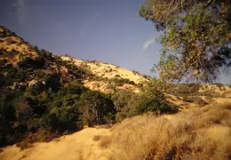 A Day in the Life of Mt Diablo 035