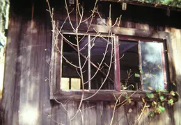 A Day in the Life of Mt Diablo 039