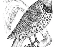 AngelIsland2007reprint5