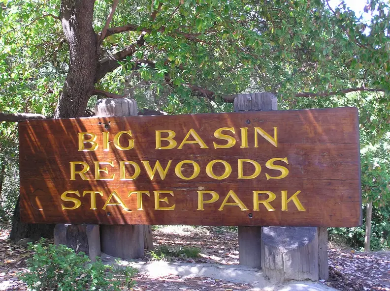 Big_Basin_Redwoods_State_Park_2004_001.webp