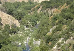 Arroyo Seco Campground June 2007 003