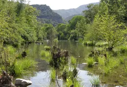 Arroyo Seco Campground June 2007 011