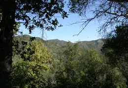 Big Sur June 2007 002