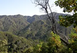 Big Sur June 2007 003