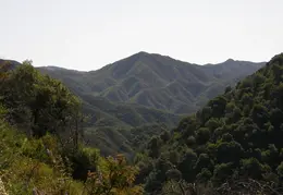 Big Sur June 2007 004