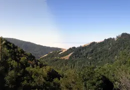 Big Sur June 2007 010