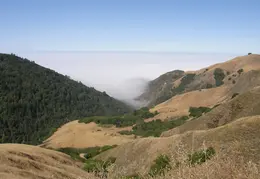 Big Sur June 2007 012