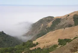 Big Sur June 2007 013