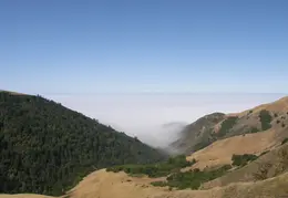 Big Sur June 2007 014