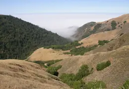 Big Sur June 2007 015