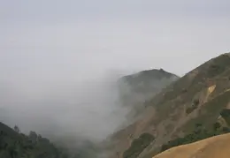 Big Sur June 2007 016