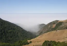 Big Sur June 2007 017