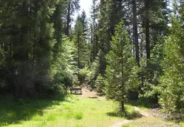 Calaveras Big Trees 2005 008