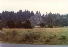 Fern Canyon 1981 003