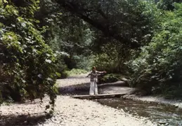 Fern Canyon 1981