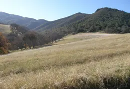 Mt Diablo Back Creek Jan 2009 01