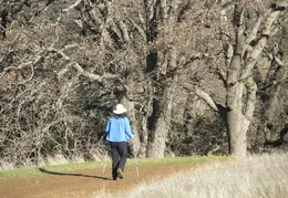 Mt Diablo Back Creek Jan 2009 16