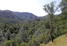 Mt Diablo Donner Canyon April 2008 011